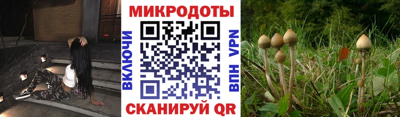 Купить  Белая Холуница  Галлюциногенные грибы Magic Shrooms 